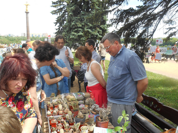 DSCN1684.jpg