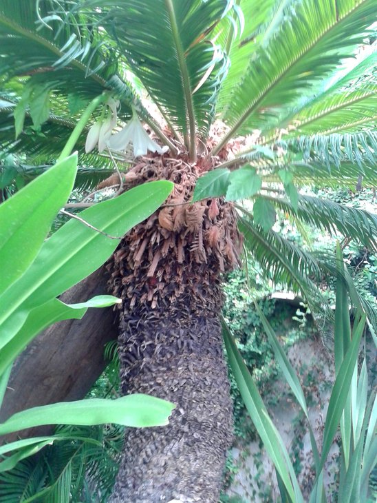 20150612_101507.jpg