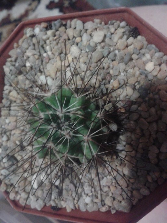 20150613_212546.jpg