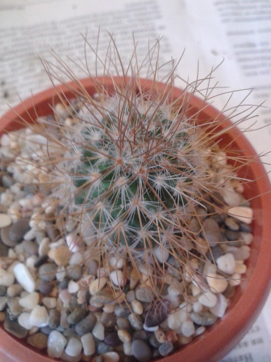 20150622_115427.jpg