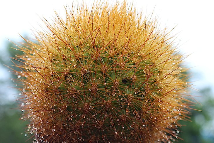 КIP4089.JPG