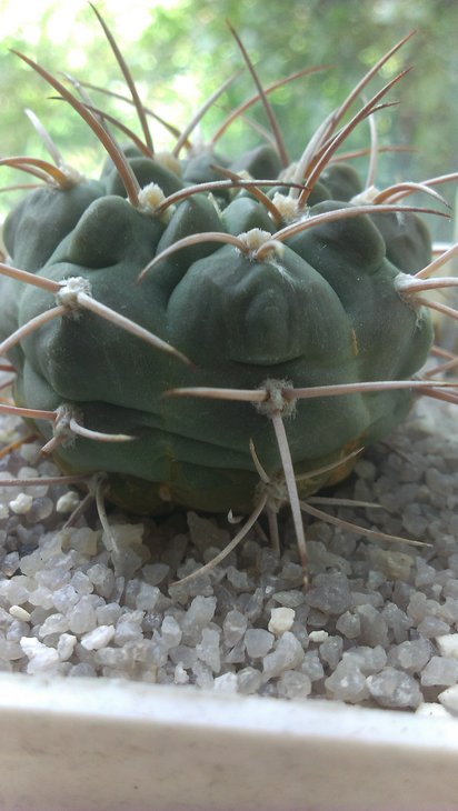 IMAG0408.jpg