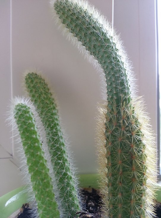 20150712_110532.jpg