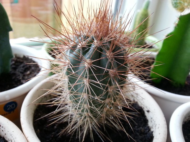 20150404_125943.jpg