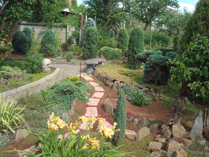 DSC05834.JPG