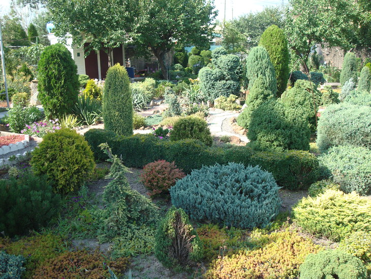 DSC05912.JPG