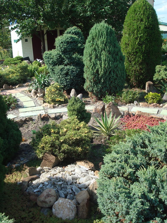 DSC05904.jpg