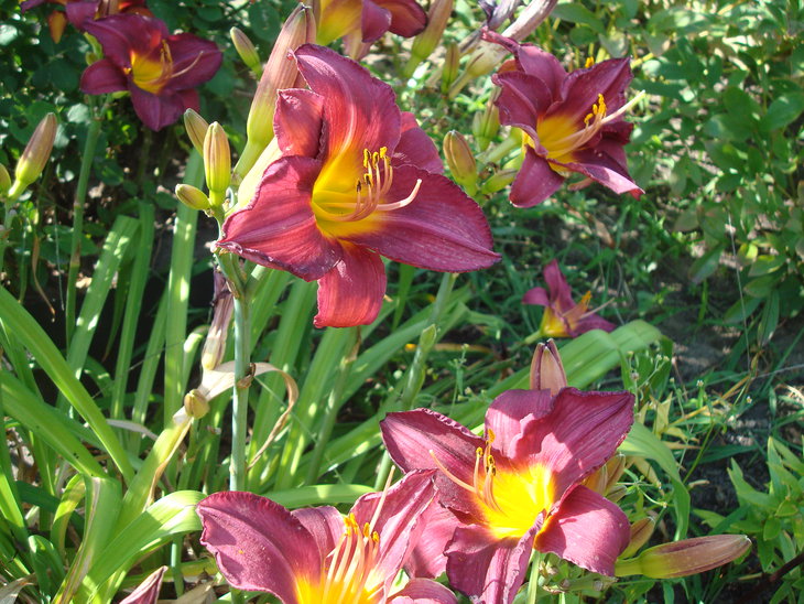 DSC05926.JPG