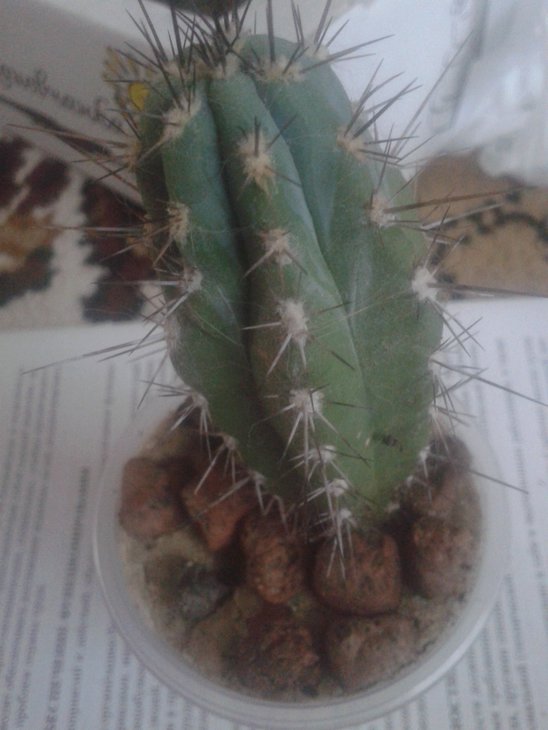 20150720_143109.jpg