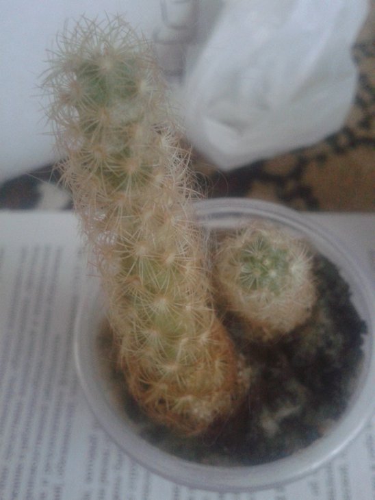 20150720_143157.jpg