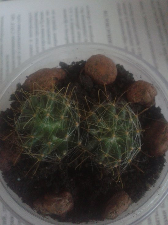 20150720_143247.jpg