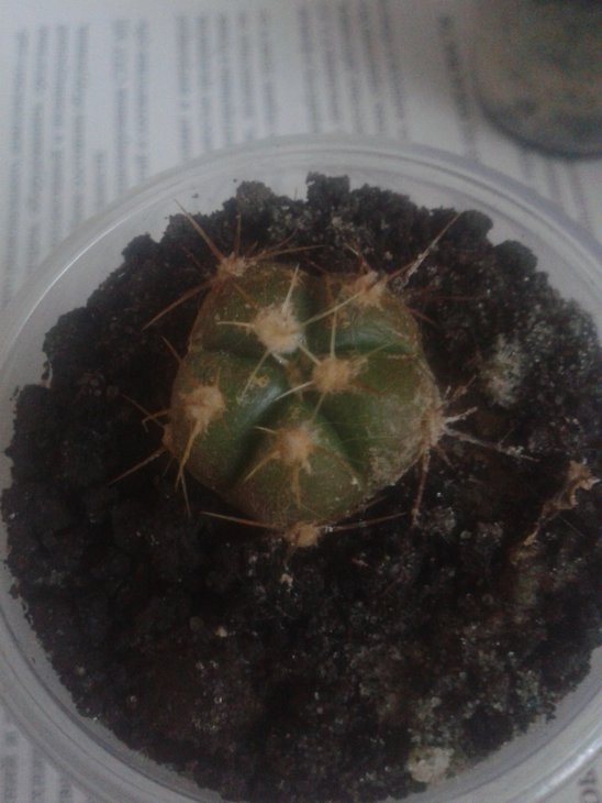 20150720_143327.jpg