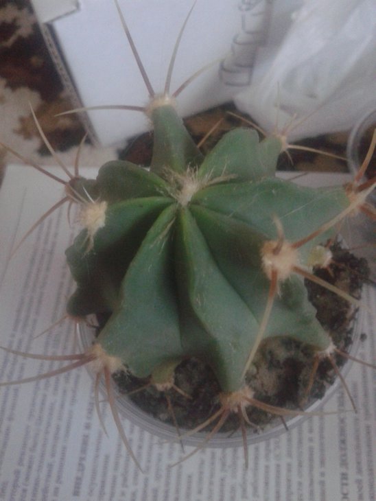 20150720_143407.jpg