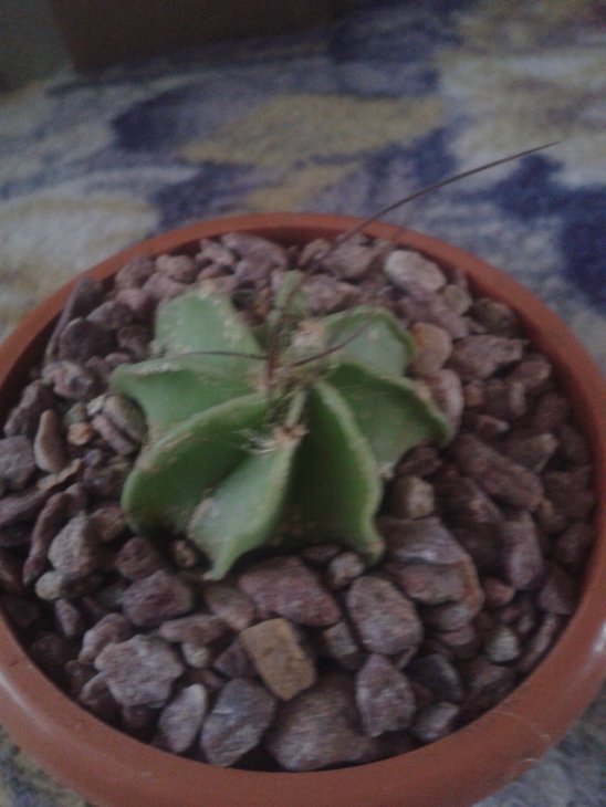 20150720_180156.jpg