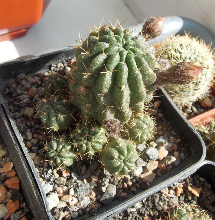DSCN0354.JPG