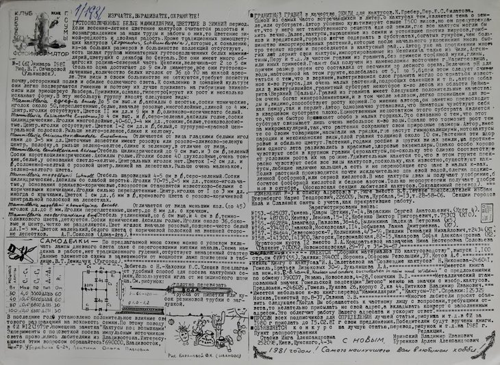 январь 1981.jpg