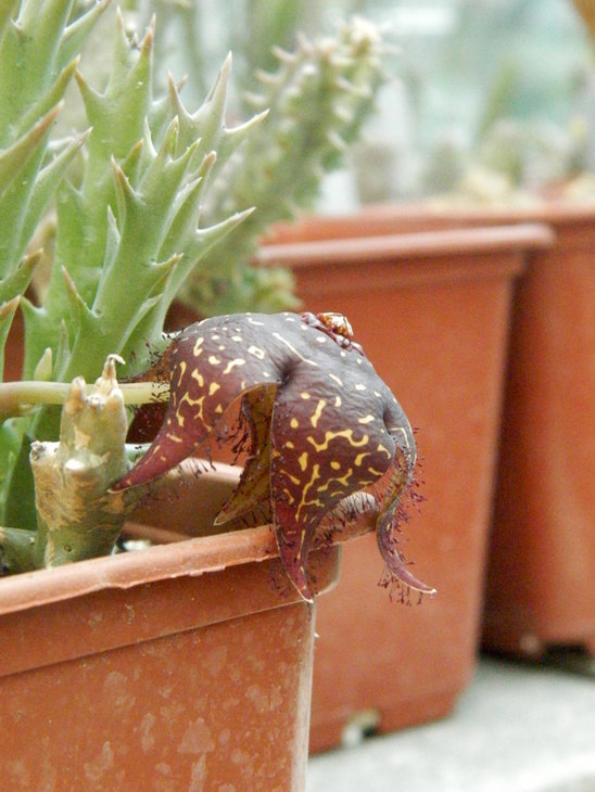 P7260500.JPG
