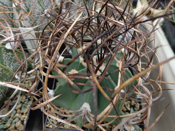 DSC08584.JPG