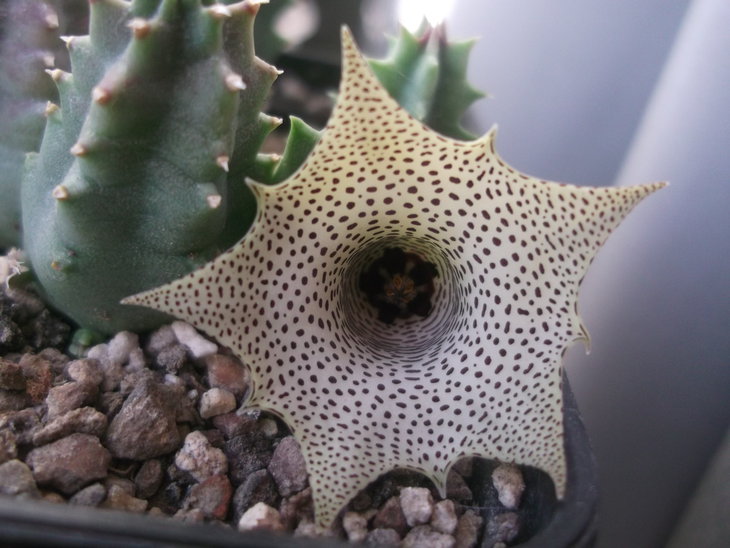 DSCF3756.JPG