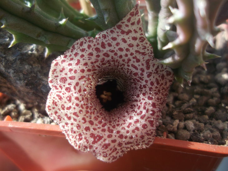DSCF3791.JPG