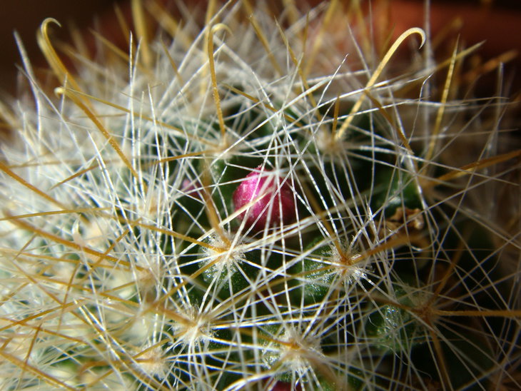 DSC01005.JPG