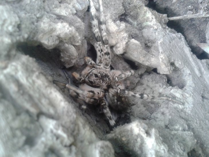 20150823_143625.jpg
