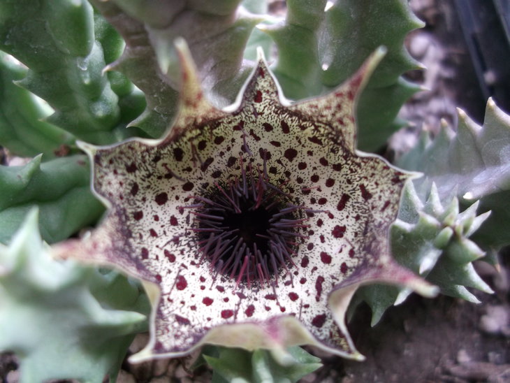 DSCF4386.JPG