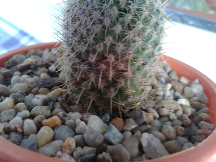 20151021_092450.jpg