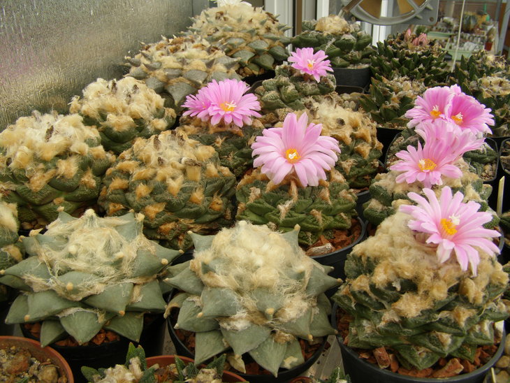 P9230031.JPG