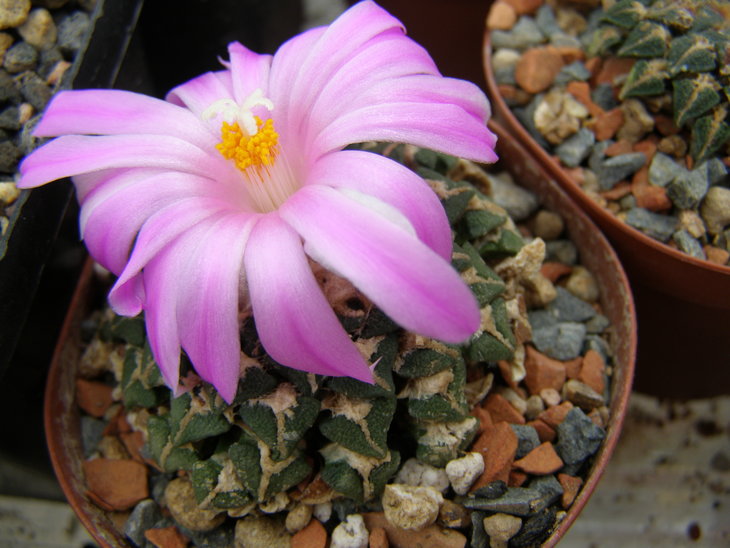 P9280051.JPG