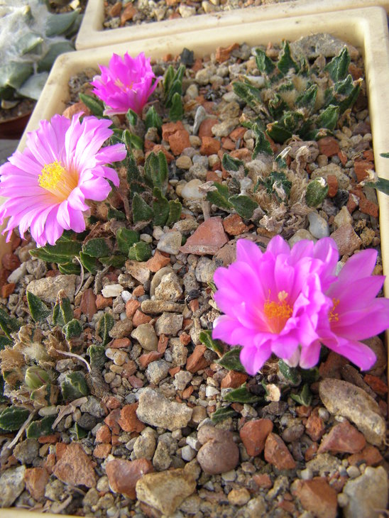 PA180004.JPG
