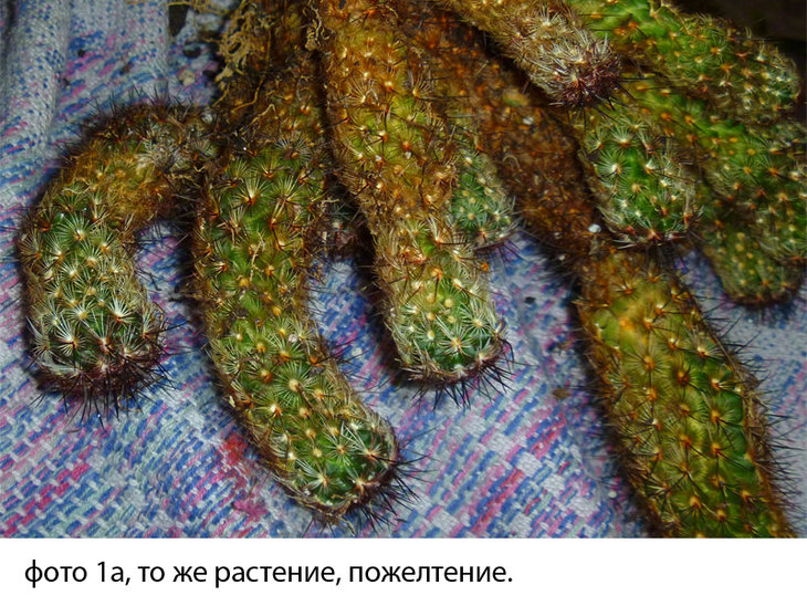 Без имени-3.jpg