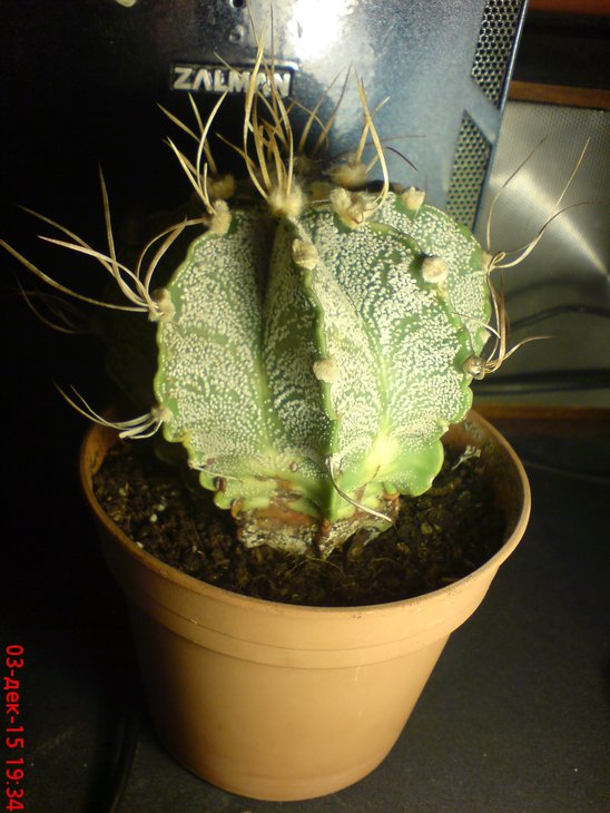 DSC00001.JPG