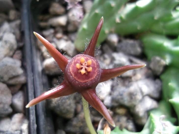 DSCF4546.JPG