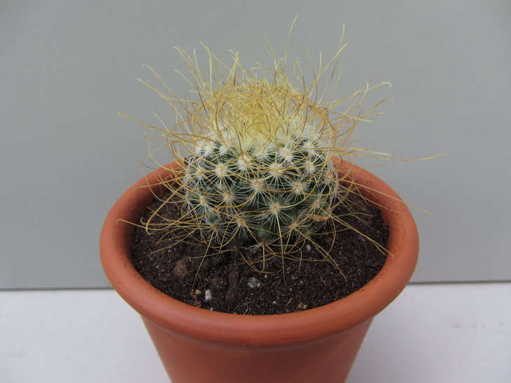 6)