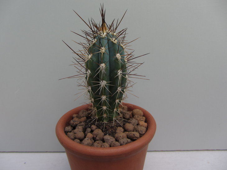 9)