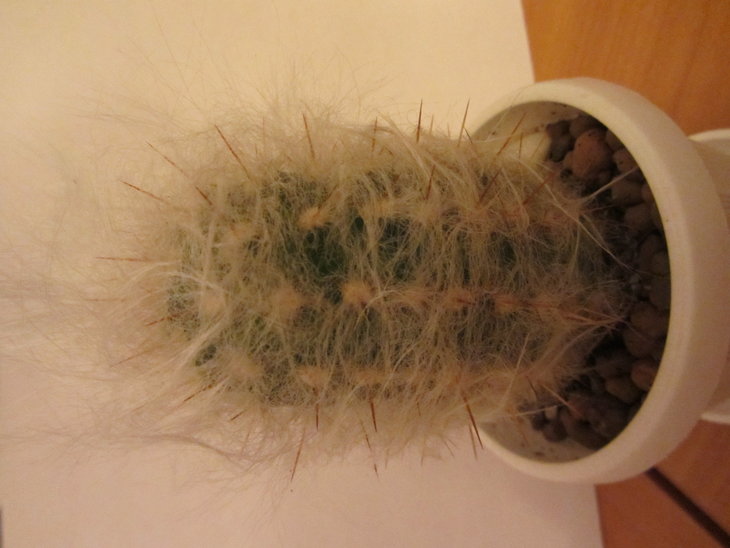 5)