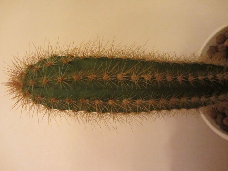2)