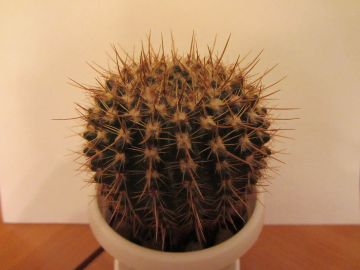 1)
