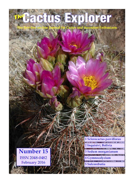 The_Cactus_Exprorer.png