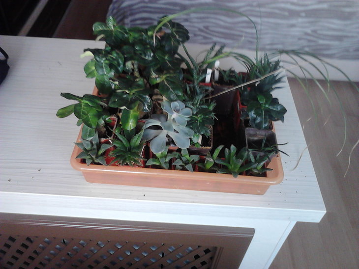 P09-03-16_17-08.jpg