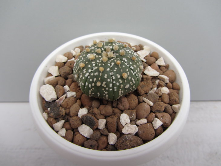3)