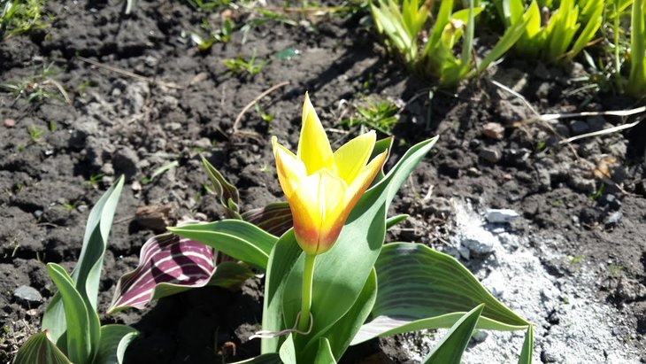 20160403_120750.jpg