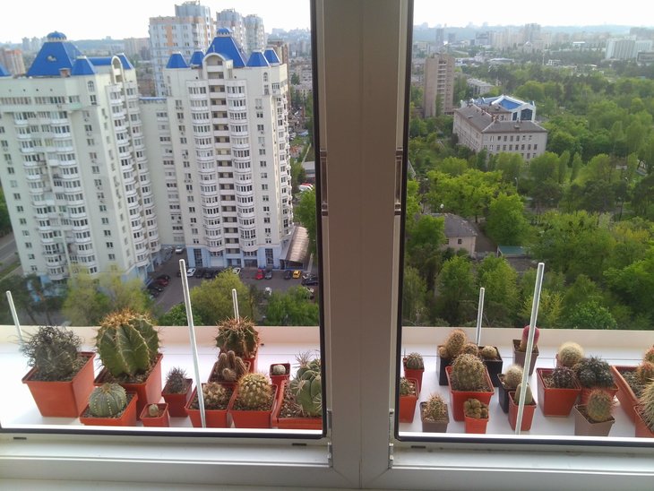Фронт