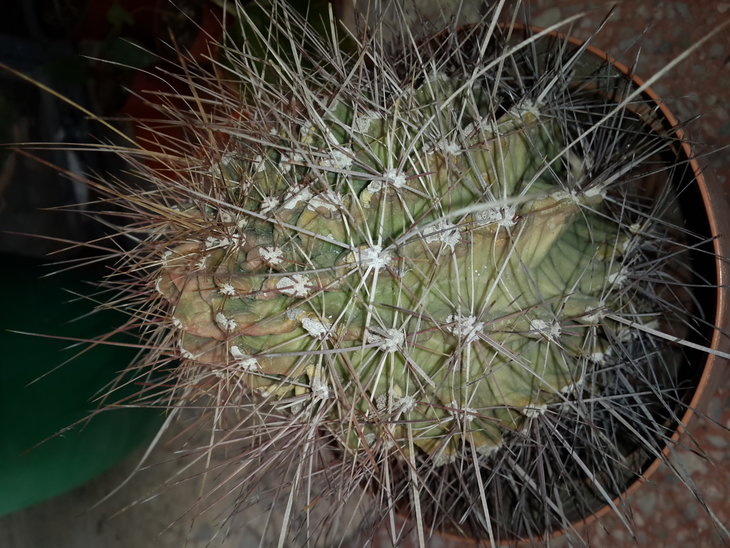 20160602_163545.jpg