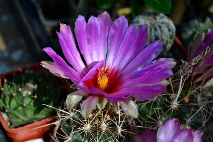 DSC_0014.jpg