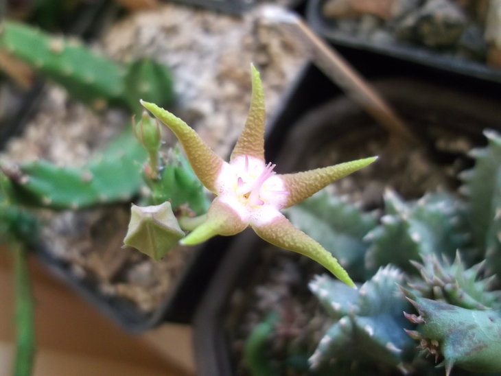 DSCF4800.JPG