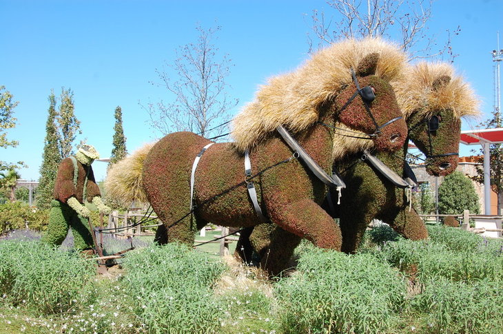 DSC_6451_новый размер.JPG