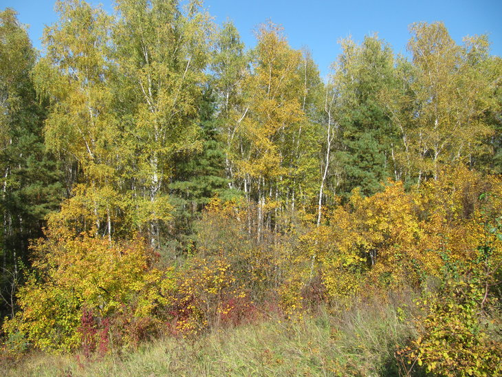 IMG_5406.JPG
