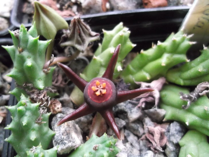 DSCF4875.JPG